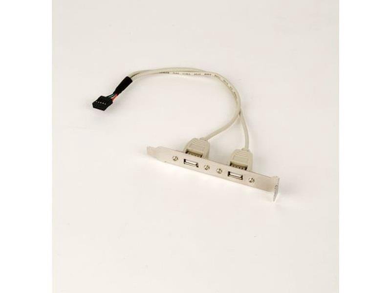 Adapteris GEMBIRD CCUSBRECEPTACLE