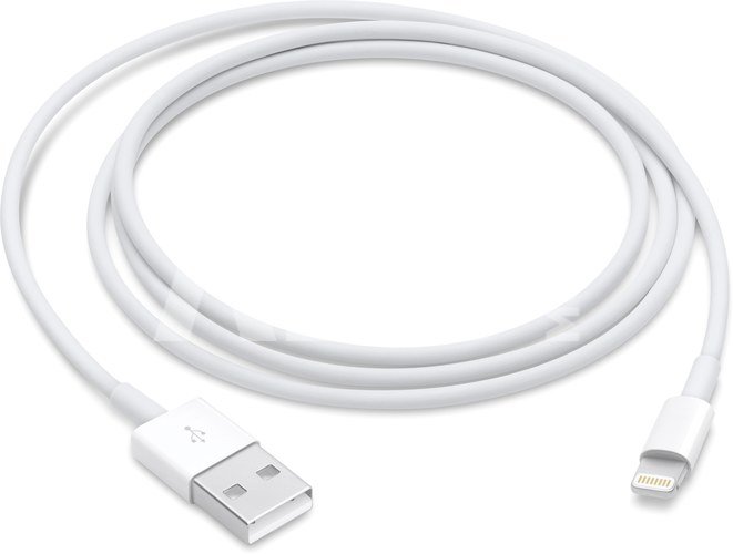 Apple cable Lightning 1m