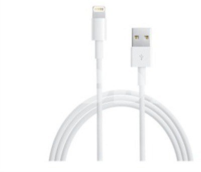 Lightning to USB Cable (0.5m)