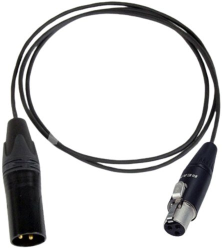 Mini XLR (F) / XLR (M) audio cable - 0,3m
