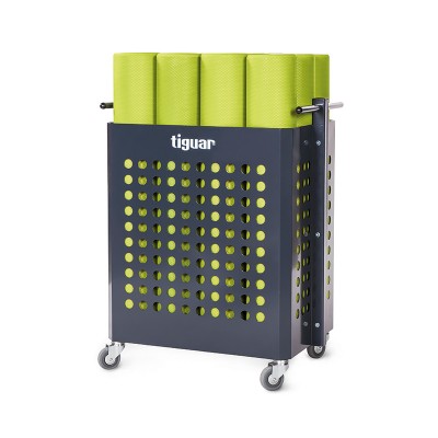 Stovas TIGUAR Smart Equipment Store