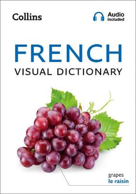 Visual Dictionary French PBAudio Included