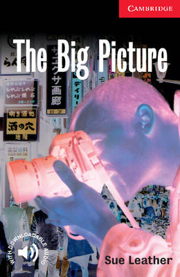 CER 1: The Big Picture