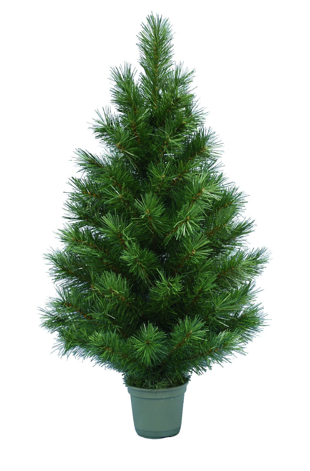 Dirbtinė eglutė SCOT PINE, 90 cm