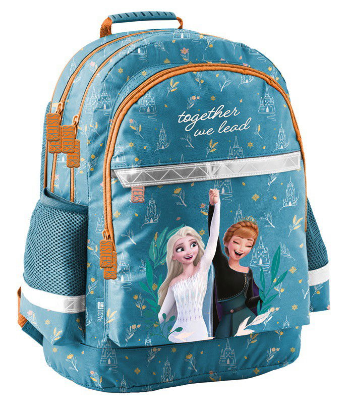 Mokyklinė kuprinė PASO  DISNEY FROZEN DF24VV-116