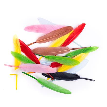 Žąsies plunksnos, 13 cm, 20 vnt., mix