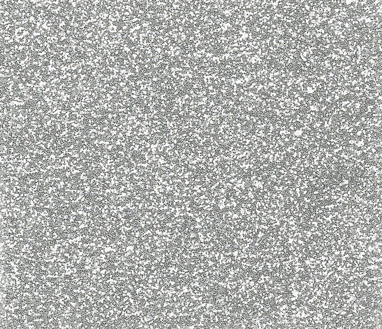 Blizgus kartonas A4, 210 g, 5 lapai, sidabrinis