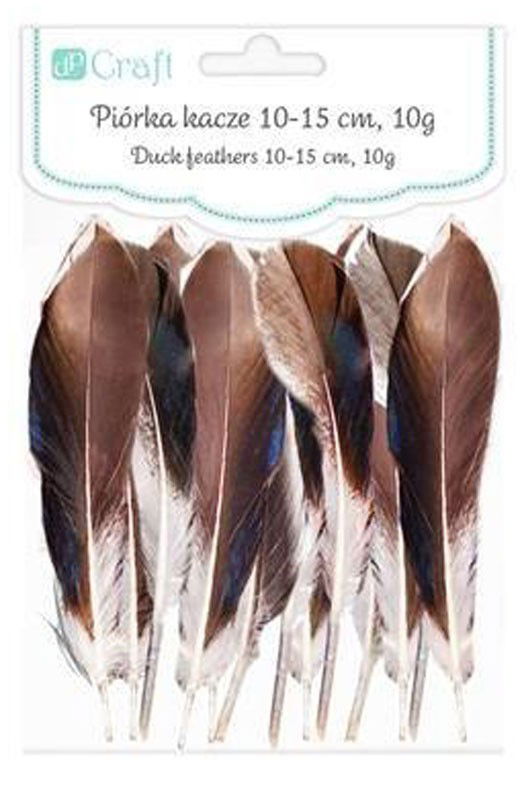 Anties plunksnos, 10-15 cm, 10 g