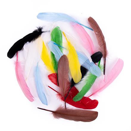 Žąsies plunksnos, 16 cm, 20 vnt., mix
