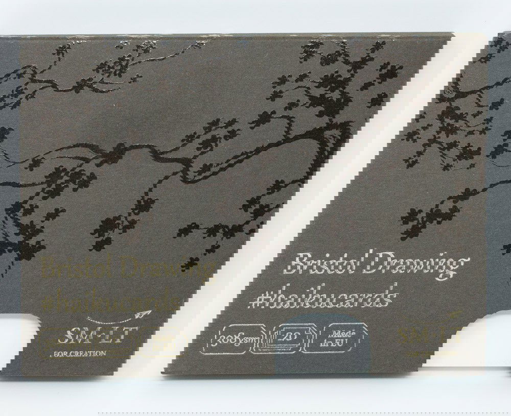 Piešimo kortelės 106x147, 20 vnt., 308gsm