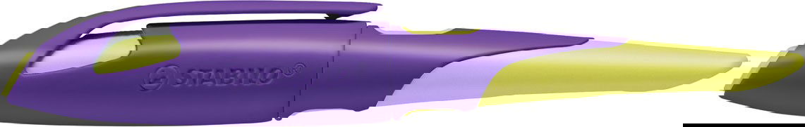 Plunksnakotis EASYbirdy R violet-yellow