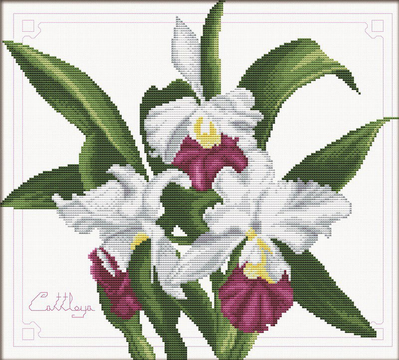 Siuvinėjimo kryželiu rinkinys BOUQUET of ORCHIDS 33x29 cm