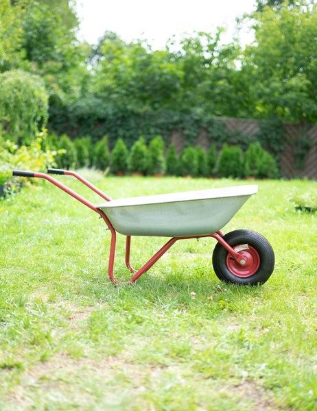 Lengvas sodo karutis, cinkuotas vienaratis talpa 80/120l 100kg