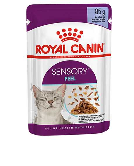 Royal Canin Sensory Feel Gravy konservai katėms : Pakuotė - 12 x 85 g