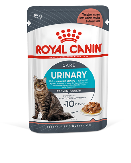 Royal Canin Urinary Care Gravy konservai katėms : Pakuotė - 12 x 85 g