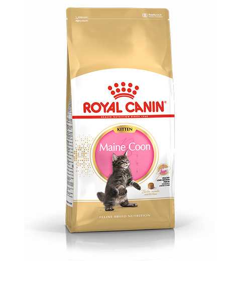 Royal Canin Maine Coon Kitten sausas maistas kačiukams : Pakuotė - 2 kg