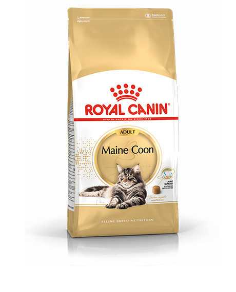 Royal Canin Maine Coon sausas maistas katėms : Pakuotė - 2 kg