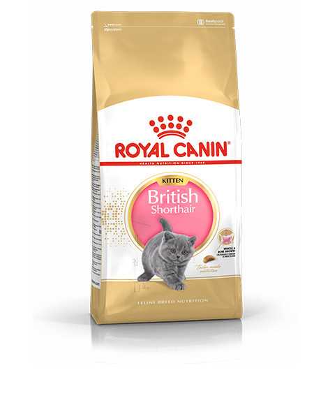 Royal Canin British Shorthair Kitten sausas maistas kačiukams : Pakuotė - 2 kg