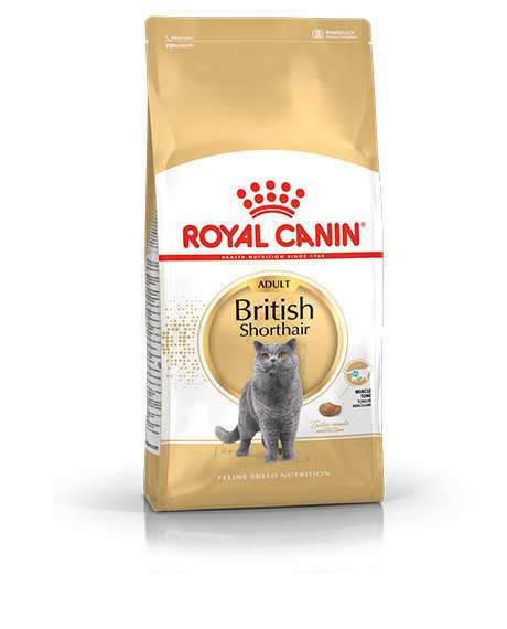 Royal Canin British Shorthair sausas maistas katėms : Pakuotė - 2 kg