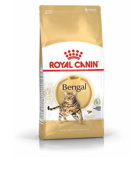 Royal Canin Bengal sausas maistas katėms : Pakuotė - 10 kg