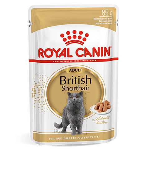 Royal Canin British Shorthair konservai katėms : Pakuotė - 12 x 85 g