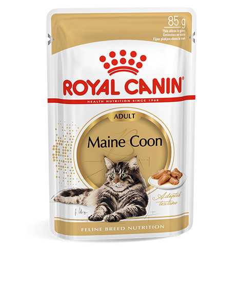 Royal Canin Maine Coon konservai katėms : Pakuotė - 12 x 85 g