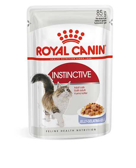 Royal Canin Instinctive Jelly konservai katėms : Pakuotė - 12 x 85 g