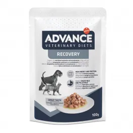 Advance Wet Recovery Šuo&Katė konservai 11x100g