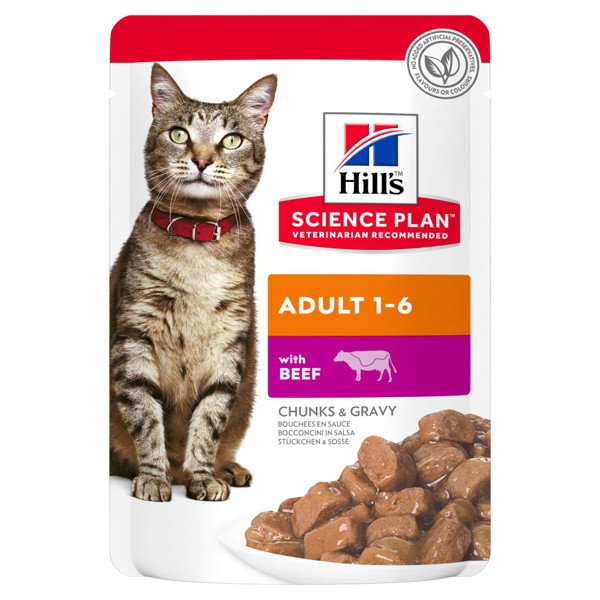 Hill's Science Plan Adult Guliašas katėms su jautiena 12x85g