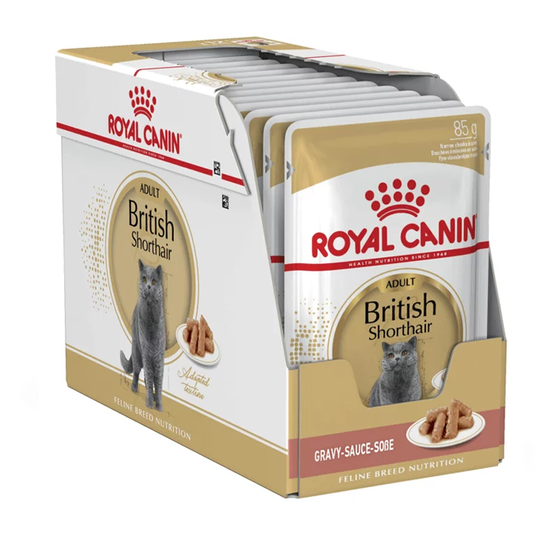 Royal Canin British Shorthair konservai padaže 12x85g