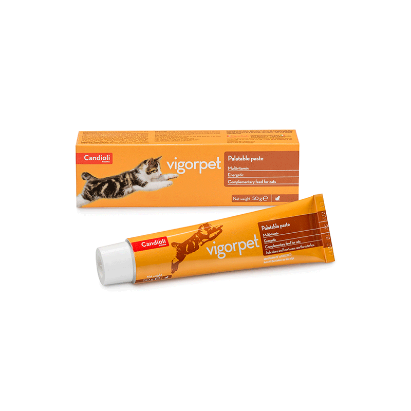 Candioli Vigorpet multivitaminų pasta katėms 50 g