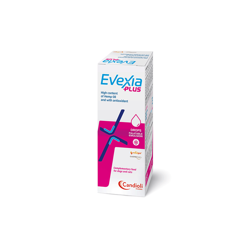 Candioli Evexia Plus lašai šunims ir katėms 40 ml
