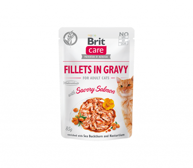 Brit Care Cat konservai katėms Fillets in Gravy Savory salmon 24x85g