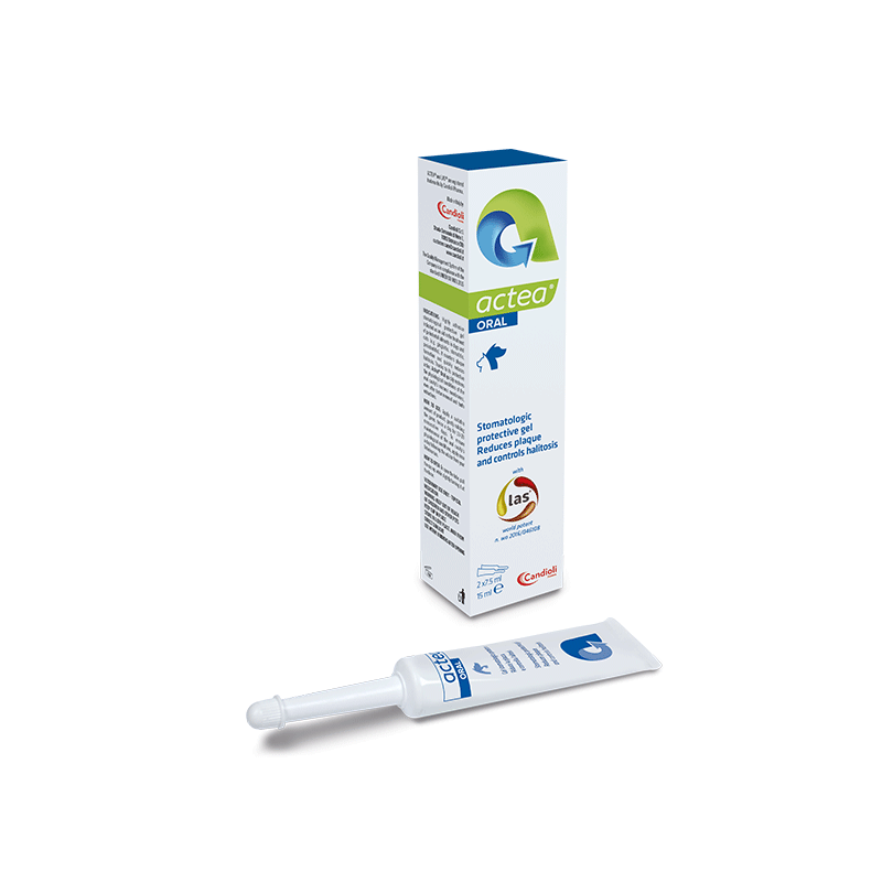Candioli Actea Oral stomatologinis gelis šunims ir katėms 15 ml