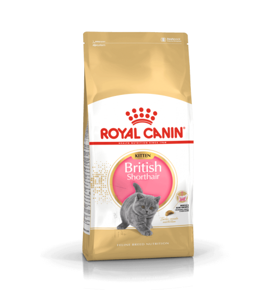 Royal Canin British Shorthair Kitten sausas maistas katėms 2 kg