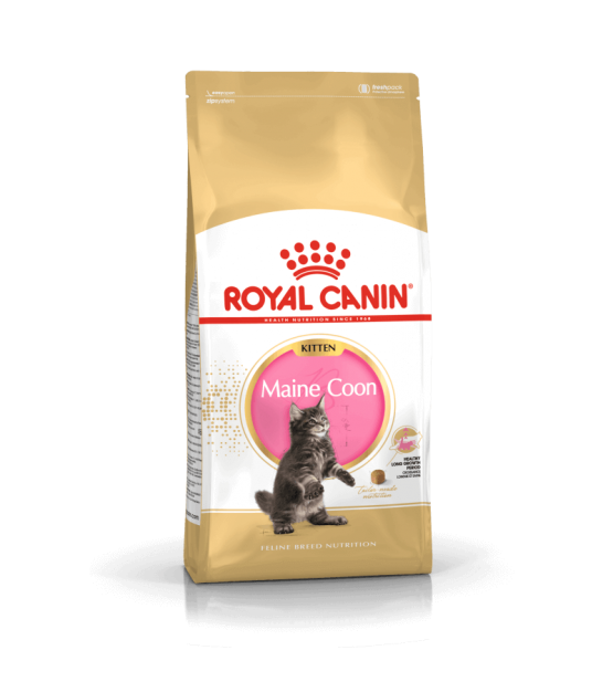 Royal Canin Maine Coon Kitten sausas maistas katėms 2 kg