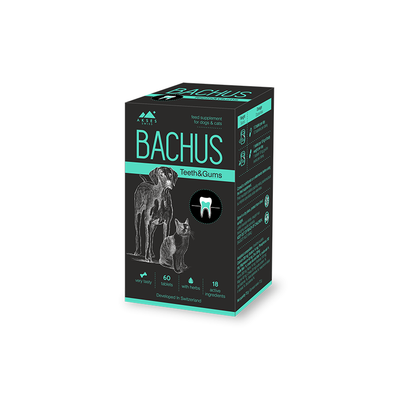 Bachus Teeth & Gums papildai šunims ir katėms 60 tabl.