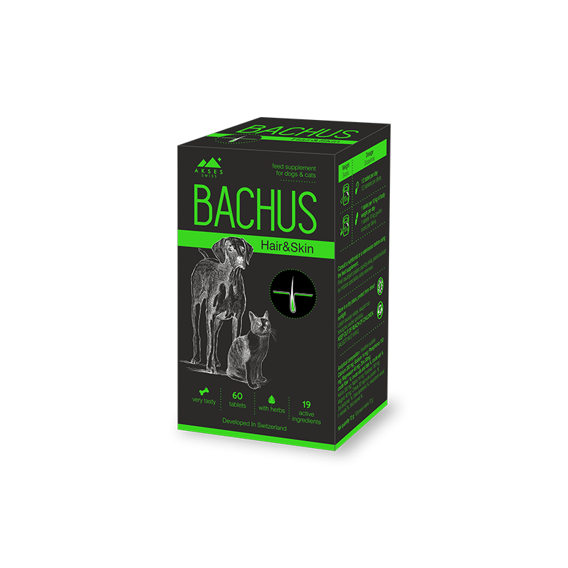 Bachus Hair & Skin papildai šunims ir katėms 60 tabl