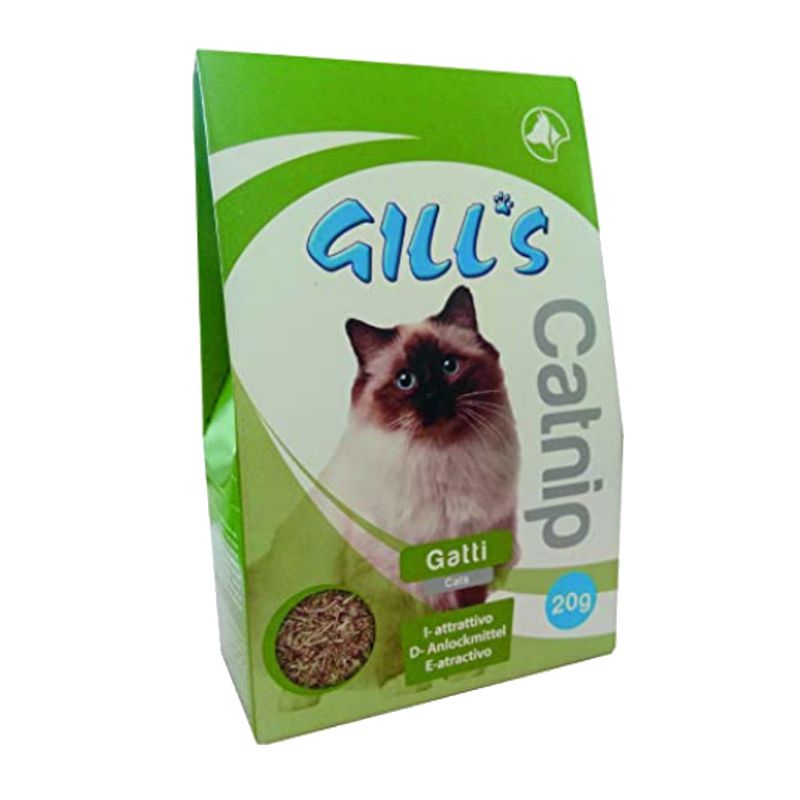 Croci Gill's Catnip katažolė katėms; 20g