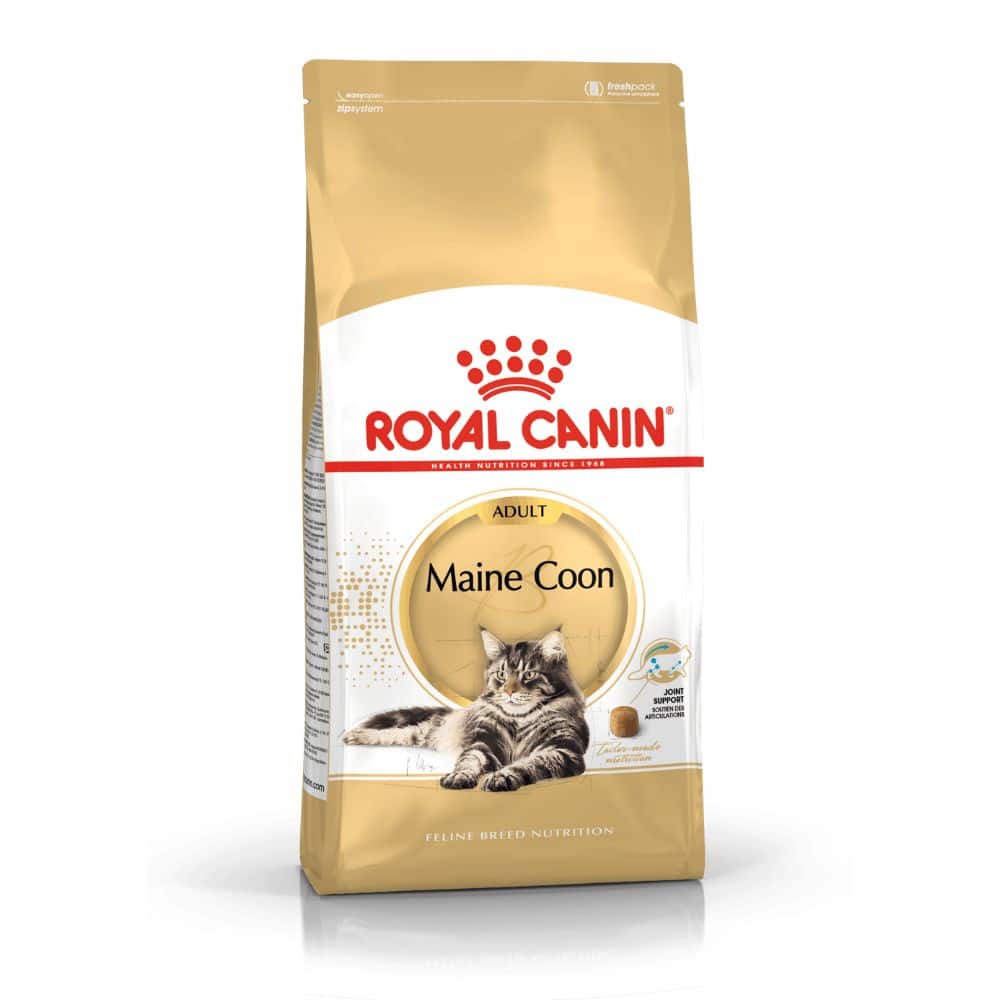 Kačių maistas Royal Canin Maine Coon Adult sausas maistas Meino meškėnų veislės katėms - Produkto Svoris 2kg