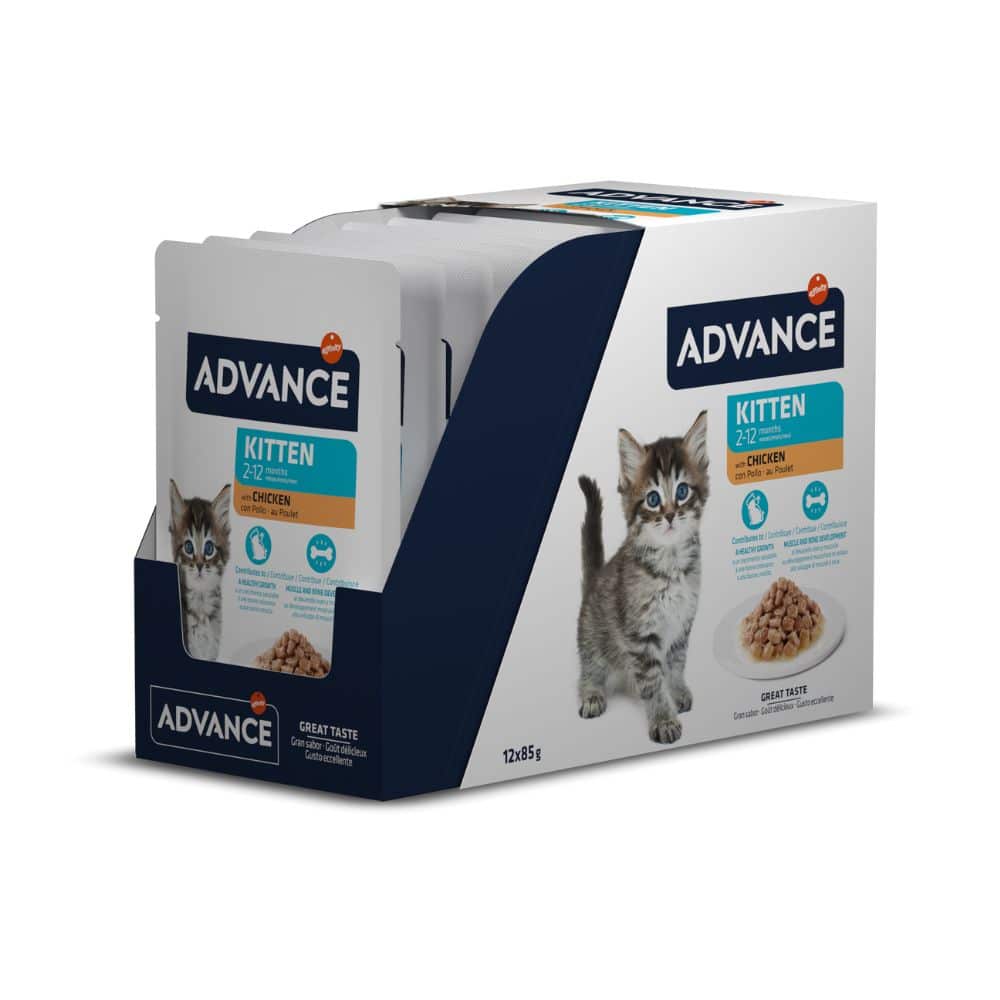 Advance Wet Kitten Chicken Flow konservai katėms 12*85g