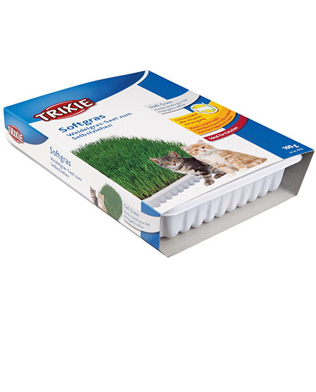 Trixie Soft Grass žolė katėms su indeliu, 100 g