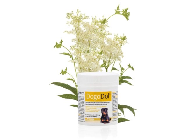 DOGOTEKA DOGOdol 45 tabl