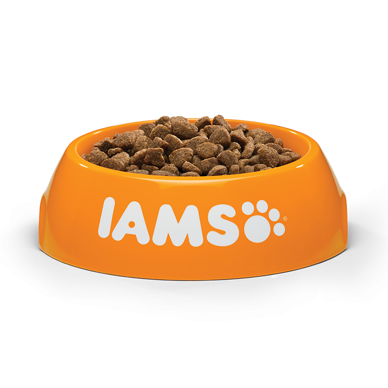 IAMS Adult Cat (žuvimi) 10kg
