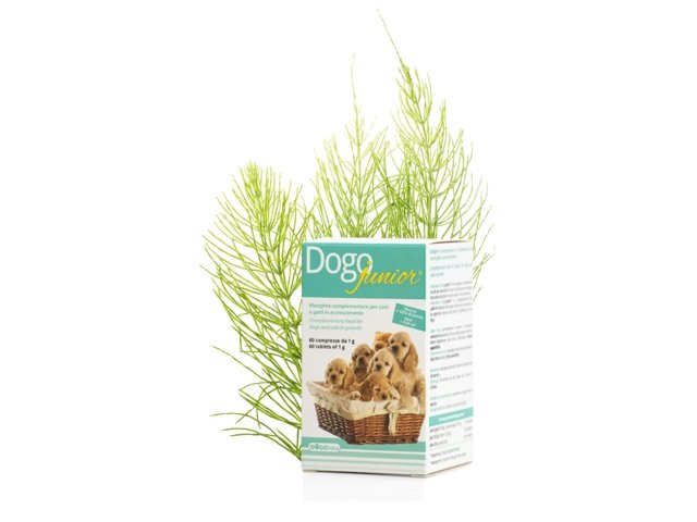 DOGOTEKA DOGOjunior 60 tabl