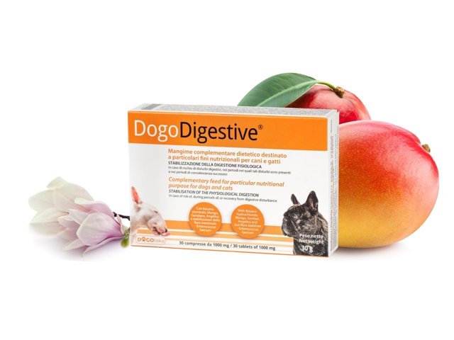 DOGOTEKA DogoDigestive 30 tabl