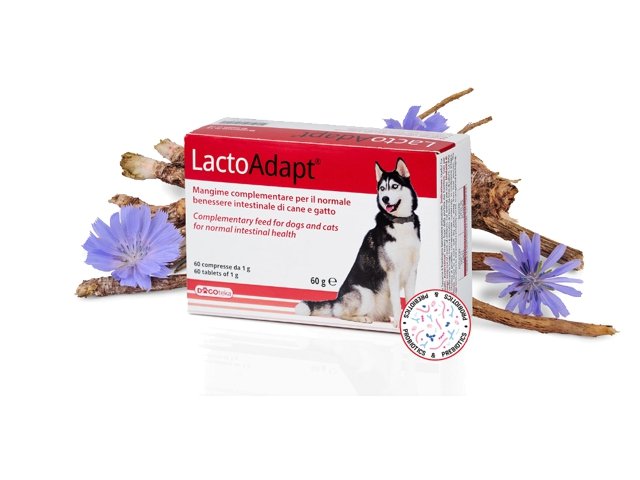 DOGOTEKA LactoAdapt 60 60 tabl
