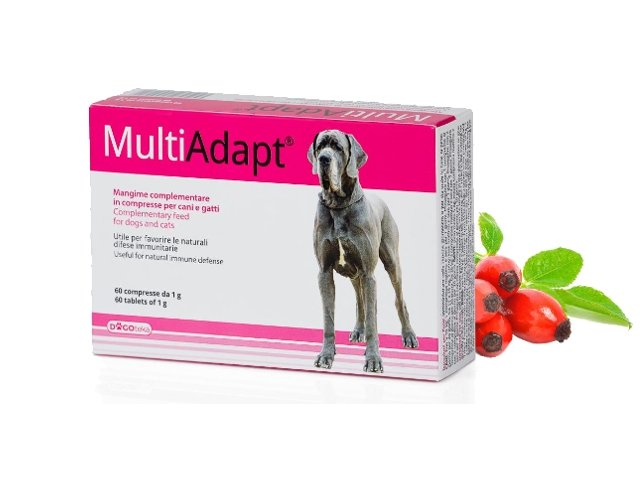 DOGOTEKA MultiAdapt 60 tabl