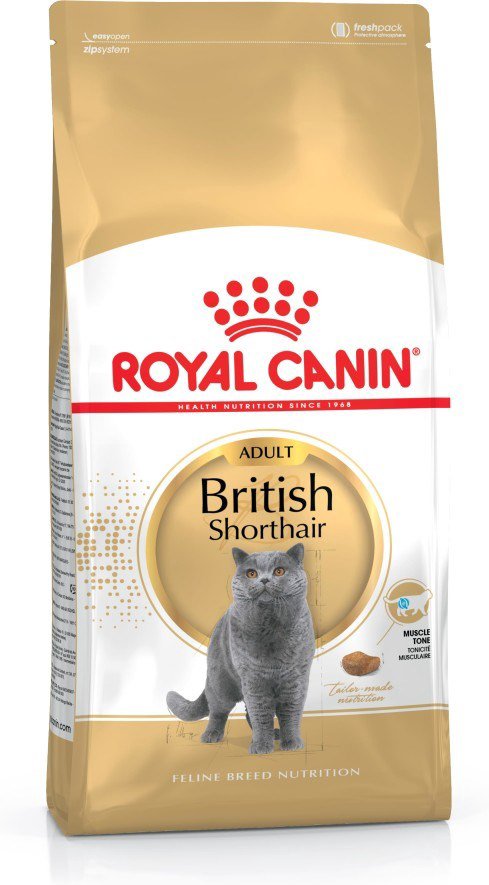 Royal Canin British Shorthair sausas kačių maistas 400 g Adult