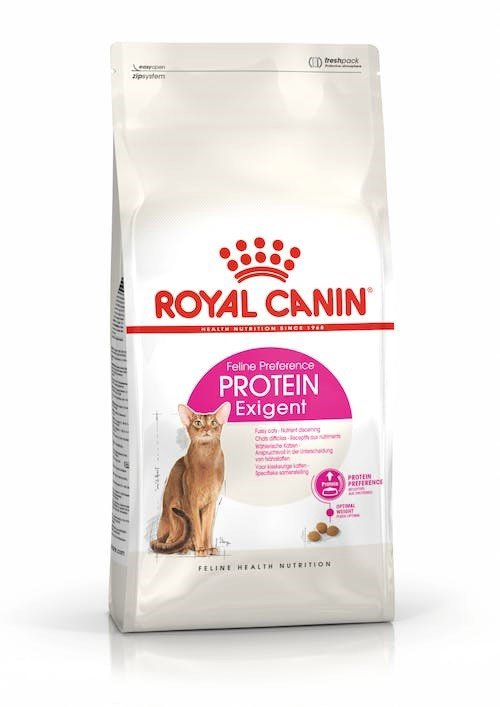 Sausas kačių maistas ROYAL Canin Protein exigent,adult